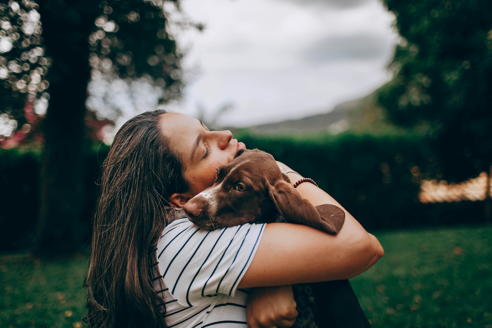 Photo by Helena Lopes stage communication animale holistique calin amour chien